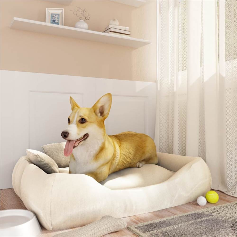 منتجات الحيوانات الاليفة