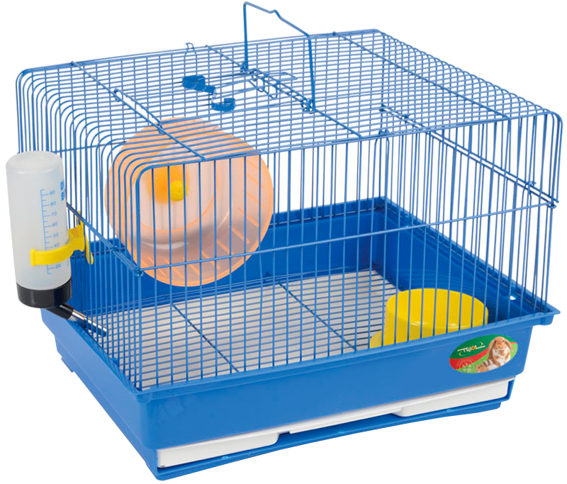 أرخص مكان بيع مستلزمات القطط