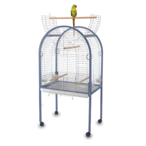 متجر حيوانات