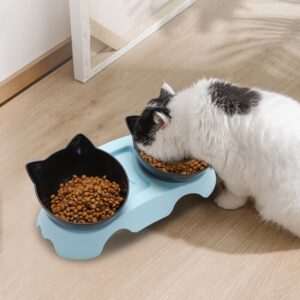 أرخص مكان بيع مستلزمات القطط