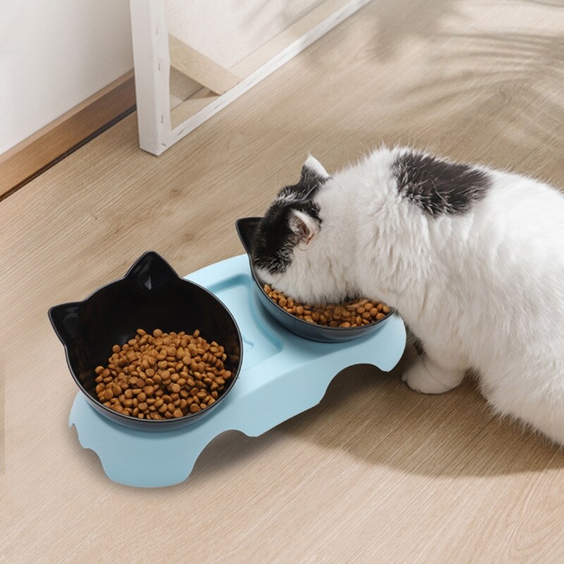 أرخص مكان بيع مستلزمات القطط