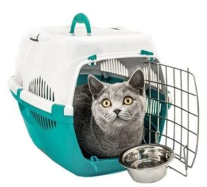 تسوق مستلزمات حيوانات اون لاين