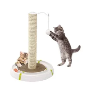 أرخص مكان بيع مستلزمات القطط