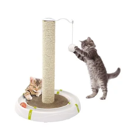 أرخص مكان بيع مستلزمات القطط