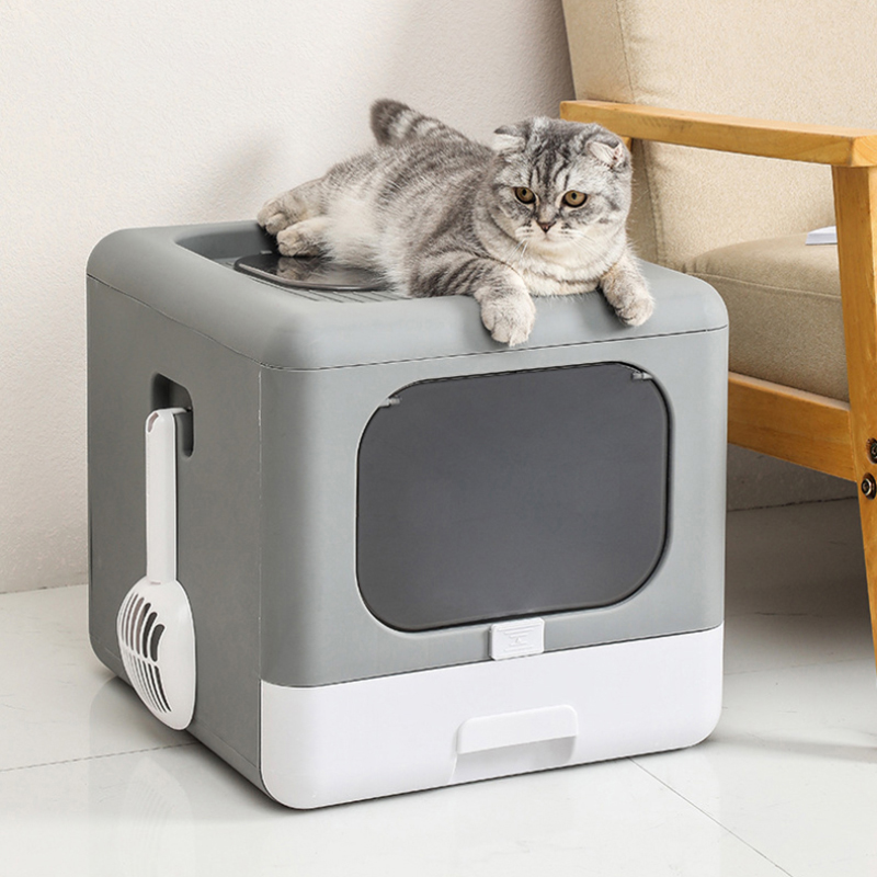 تسوق مستلزمات الحيوانات أون لاين