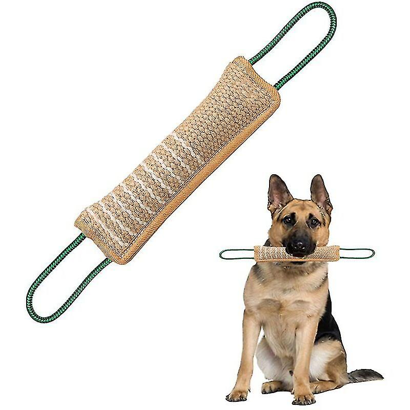 متجر حيوانات