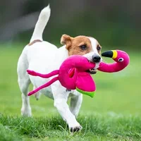 متجر حيوانات