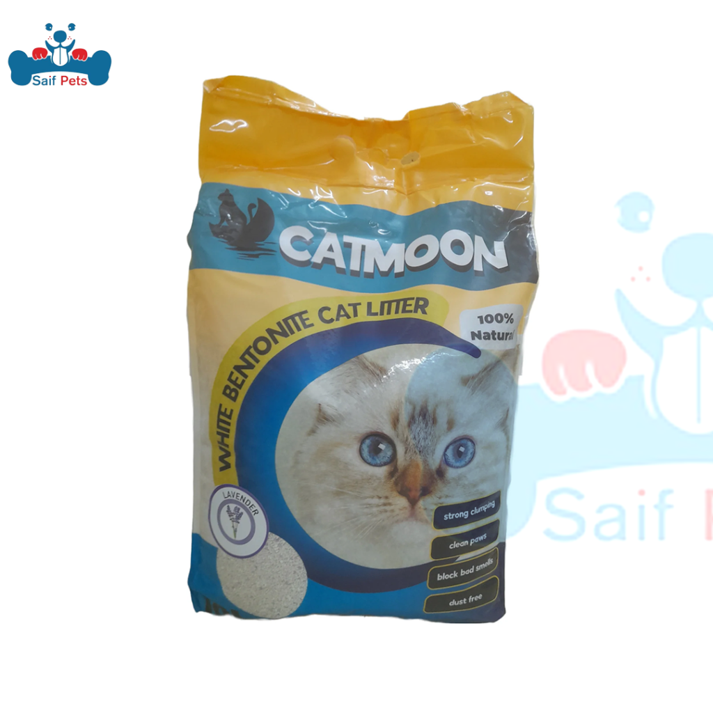 أرخص مكان بيع مستلزمات القطط