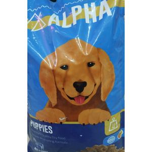 Alpha puppies 4K.g