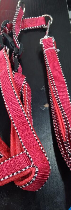 ليش بصدرية مبطنة