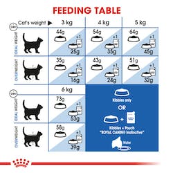 Royal Canin Dry Food for Indoor Long Haired Adults Cats (2KG) - الصورة 2