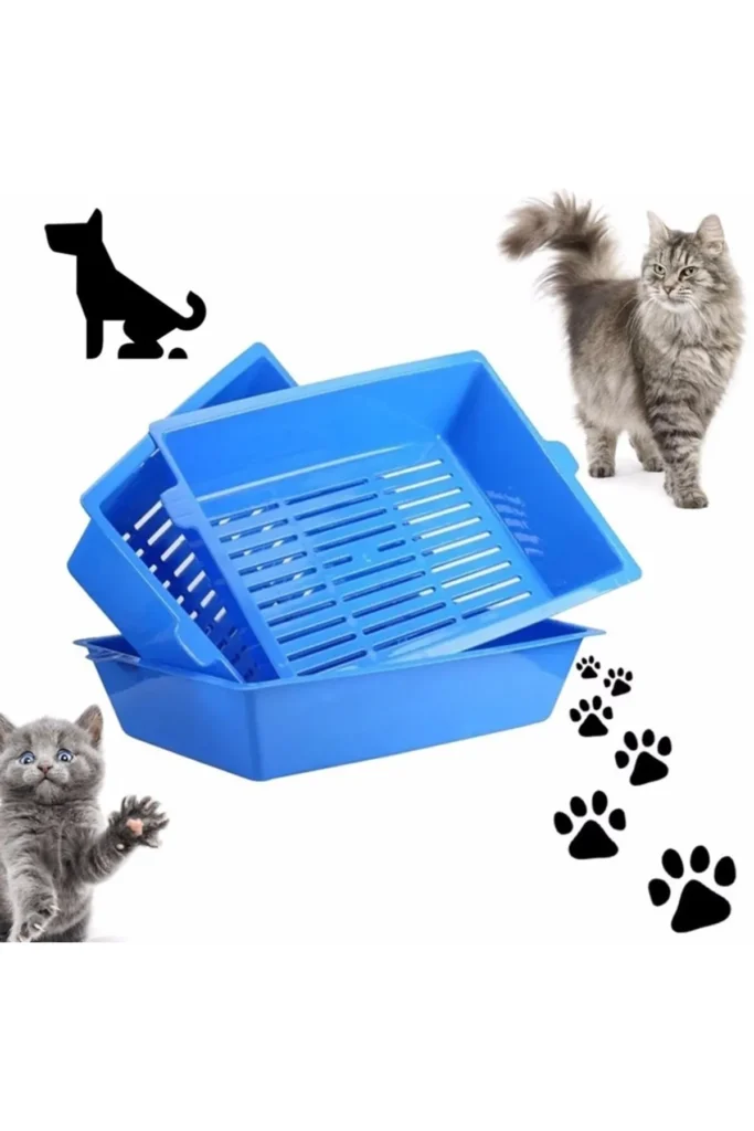 أرخص مكان بيع مستلزمات القطط